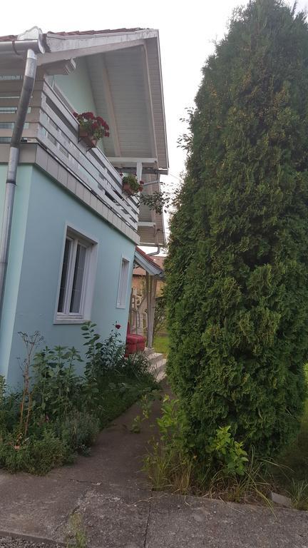Casa Cristina Βίλα Sovata Εξωτερικό φωτογραφία