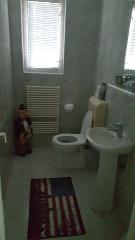 Casa Cristina Βίλα Sovata Εξωτερικό φωτογραφία